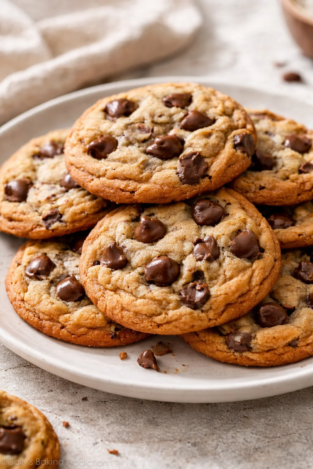 Chewy Chocolate Chip Cookies – New and Delicious